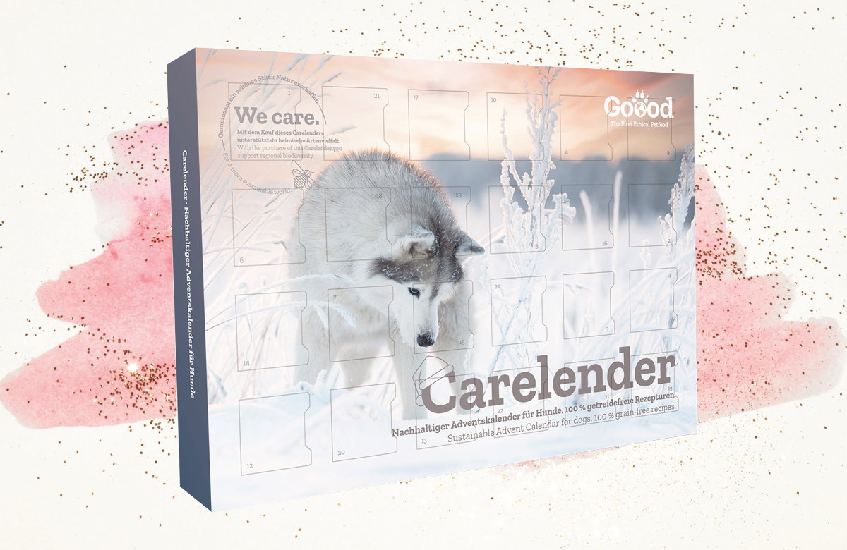 Adventskalender für Hunde