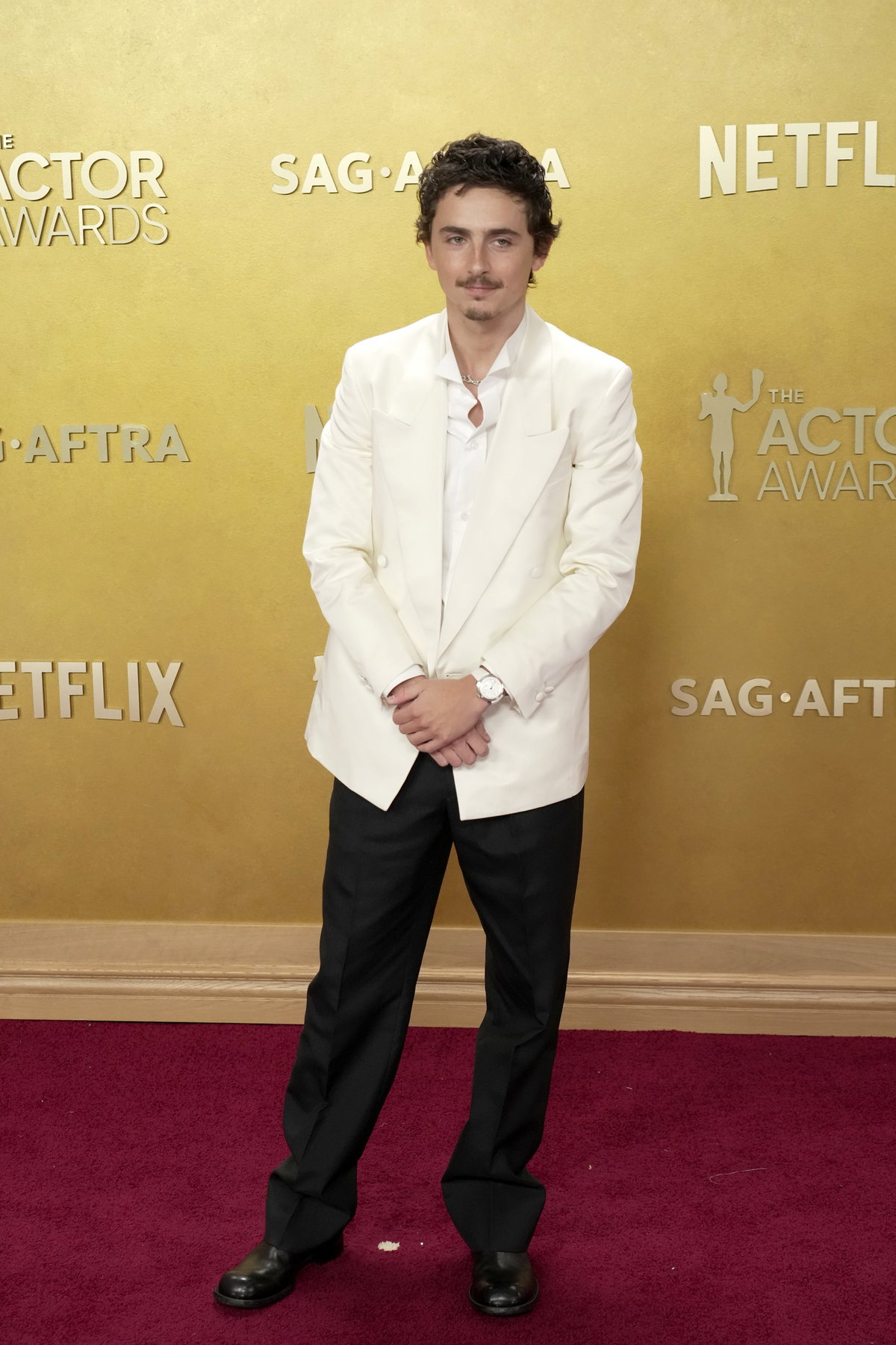 Stars bei den SAG Awards 2026