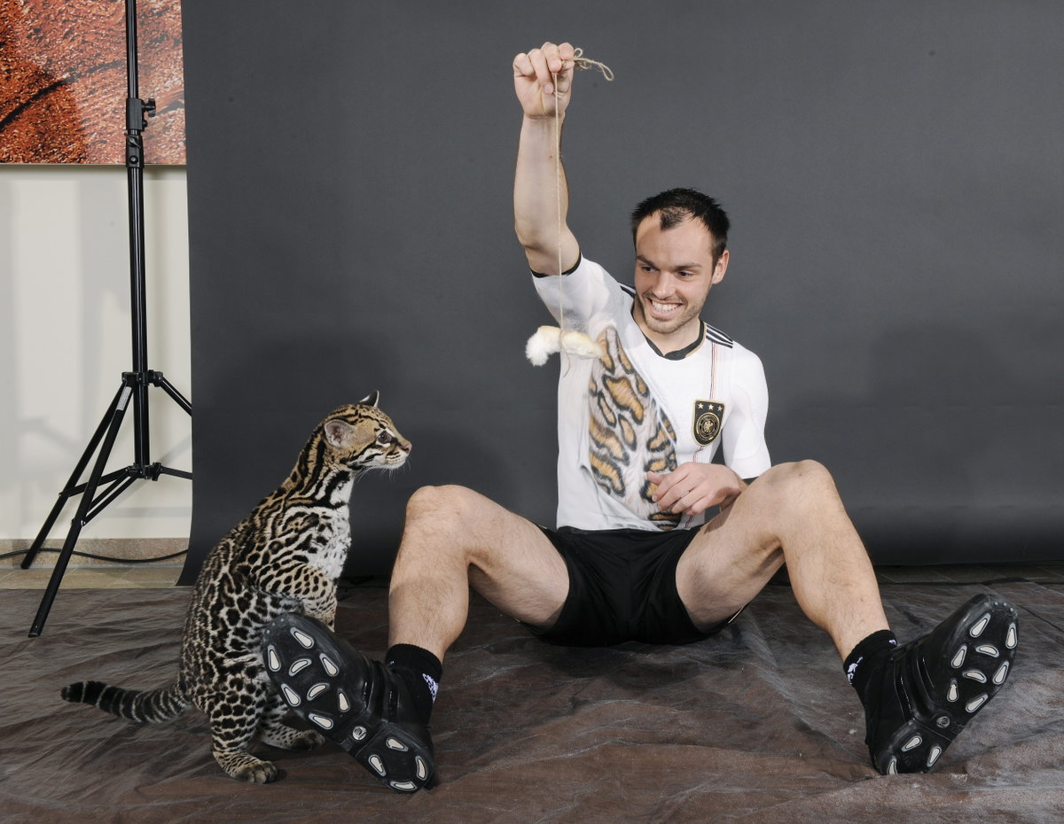 Heiko Westermann mit ein em Ozelot im Rahmen des WM-Shootings 2010