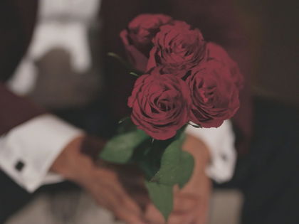 "Die Bachelors" meets "Love Island VIP": Dieser Rosenkavalier mischt die Liebesinsel auf