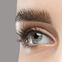 Wimpernzange war gestern! Diese innovative Mascara fixiert den Schwung noch besser und länger