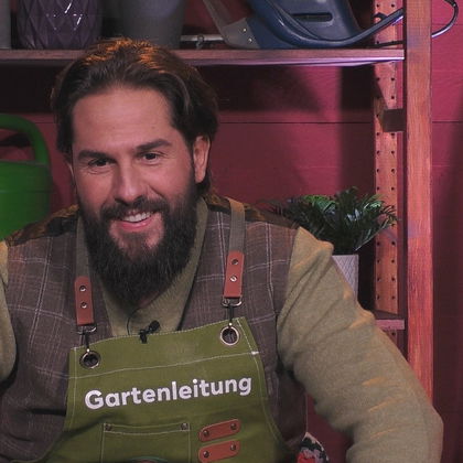 "Promi Big Brother" 2026: Maurice Dziwak gewinnt "Promi Big Brother" - Axel Schulz holt sich Platz 2