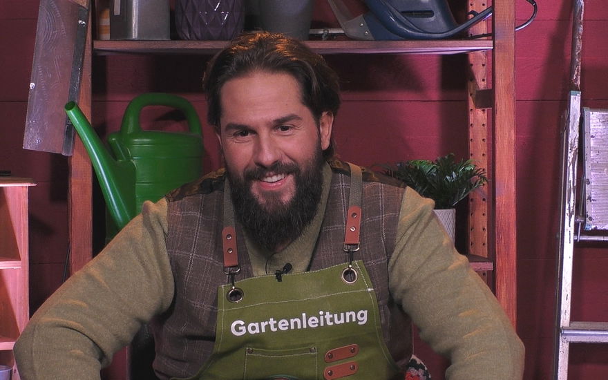"Promi Big Brother" 2026: Maurice Dziwak gewinnt "Promi Big Brother" - Axel Schulz holt sich Platz 2