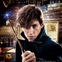 "Harry Potter": Bitteres Aus für Spin-Off "Phantastische Tierwesen"