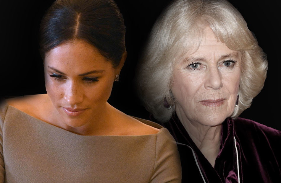 Meghan Camilla Collage