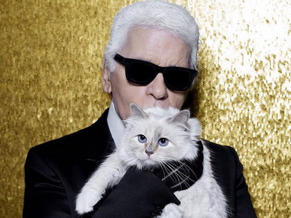 Karl Lagerfeld: Das wurde nach seinem Tod aus Katze Choupette
