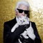 Karl Lagerfeld: Das wurde nach seinem Tod aus Katze Choupette