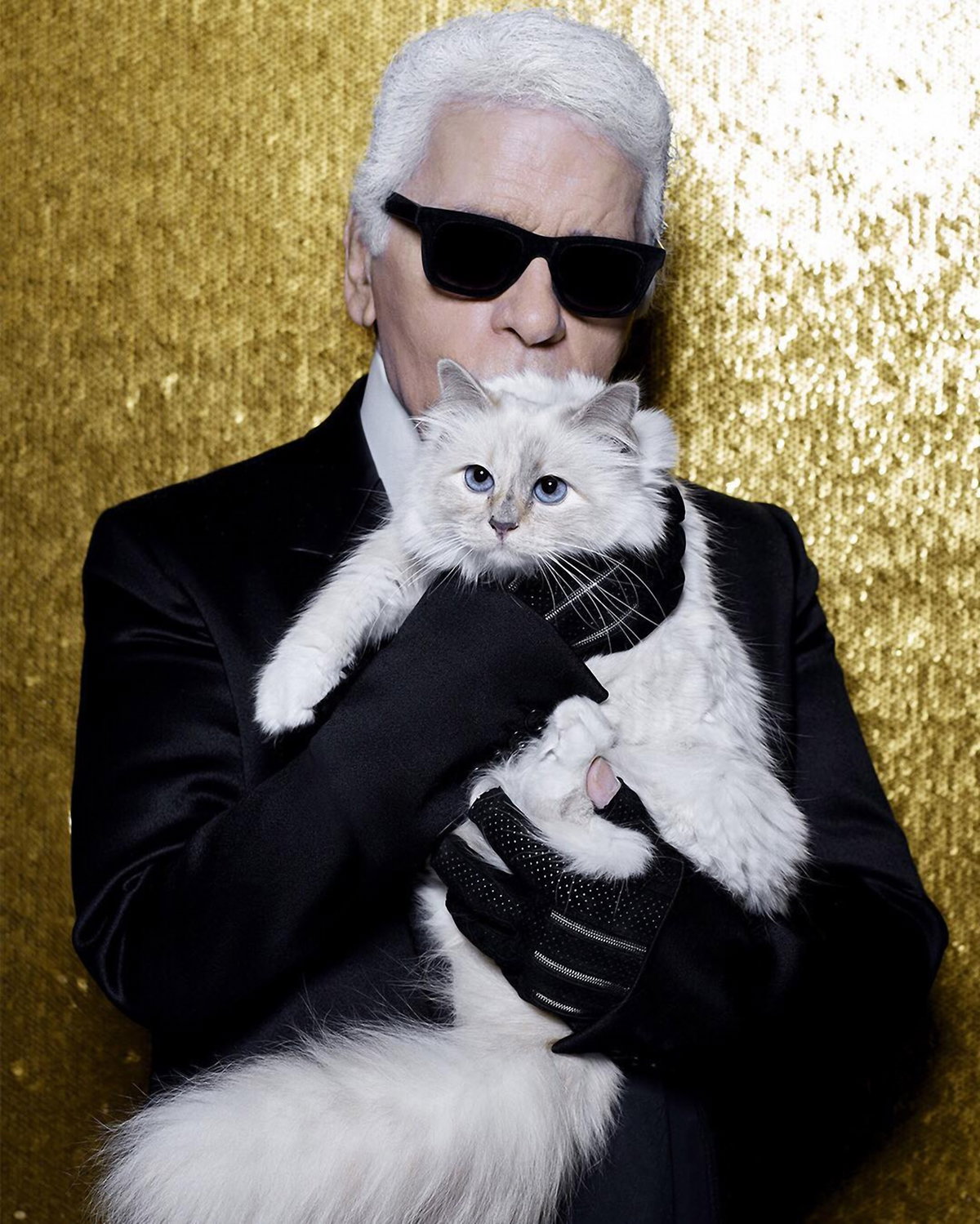 Karl Lagerfeld küsst seine Katze Choupette