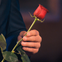 "Der Bachelor": Verdächtiges Foto – Ist dieser Reality-Star der neue Rosenkavalier?