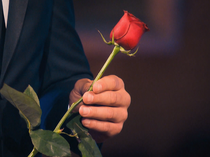 "Der Bachelor": Liebeshammer hinter den Kulissen?
