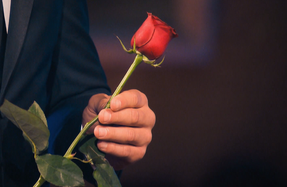 Der Bachelor nimmt eine Rose in die Hand