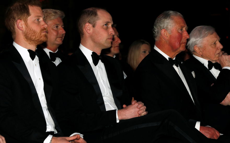 Prinz Harry & Prinz William: Versöhnung ist Charles' sehnlichster Wunsch!