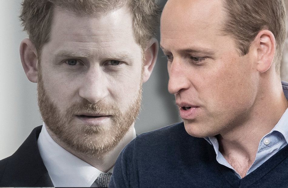 Montage: Prinz Harry und Prinz William ernst