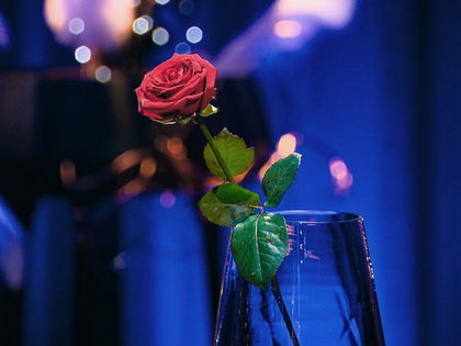 "Der Bachelor": Baby-Hammer hinter den Kulissen? "Wir verhüten nicht"