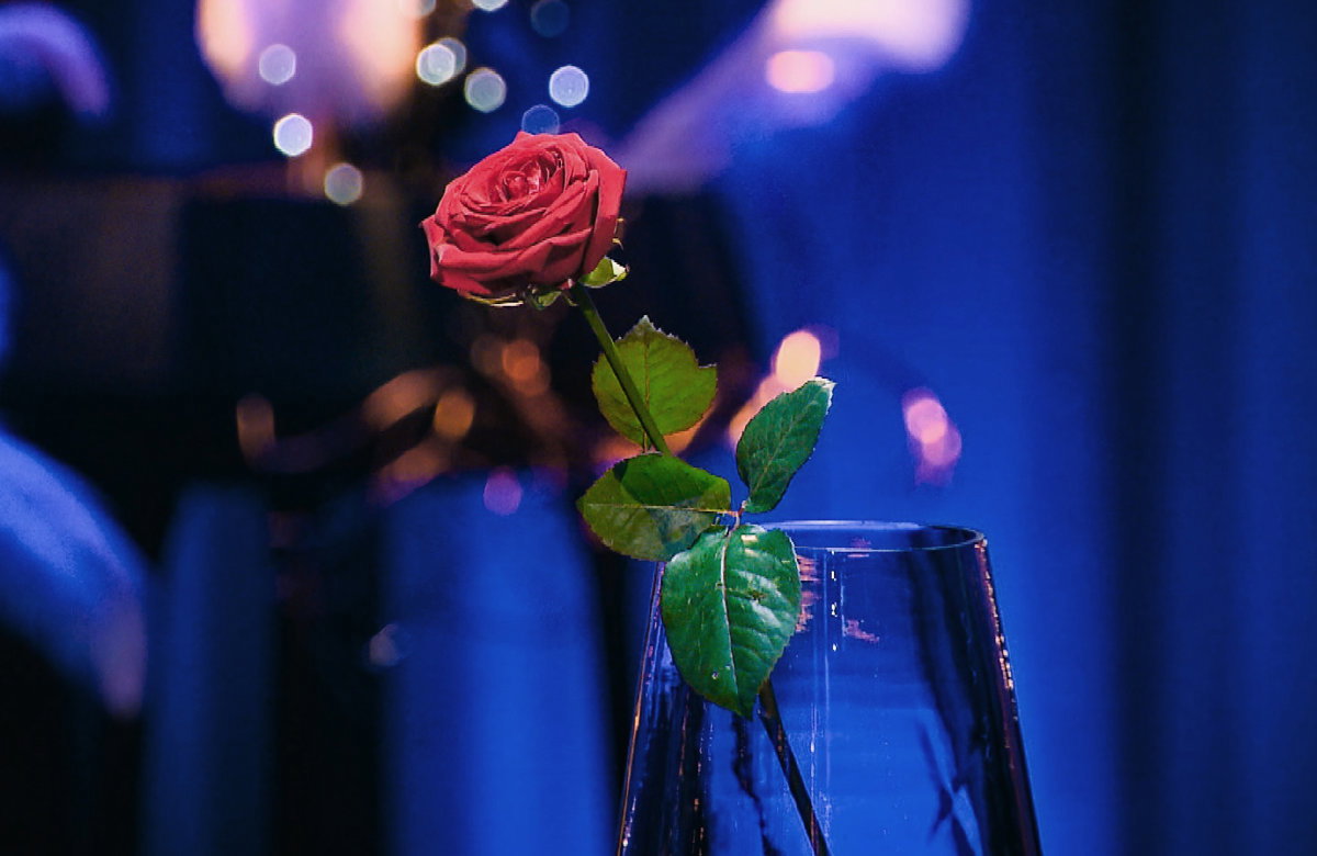 Rose im Glas bei "Der Bachelor"