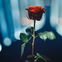 "Der Bachelor": Zoff hinter den Kulissen?