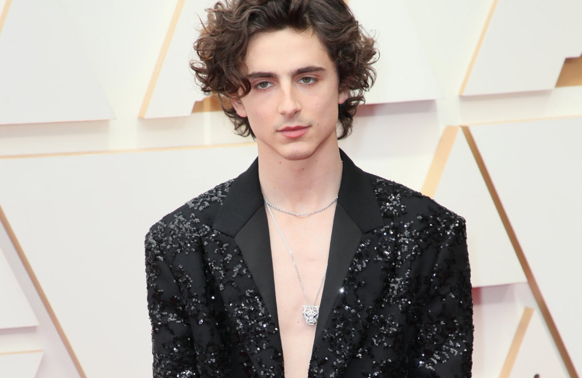Timothee Chalamet im Glitzerblazer