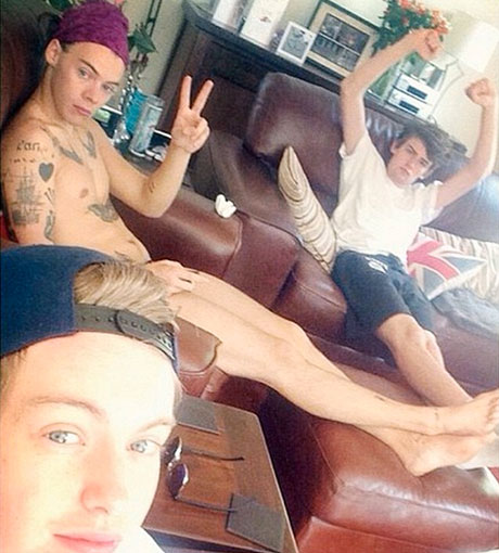 Harry Styles lässt alle Hüllen fallen und zeigt sich nackt auf Twitter