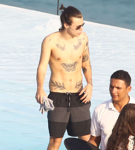 Da kommen bestimmt noch mehr! Harry Styles mit Körperkunst