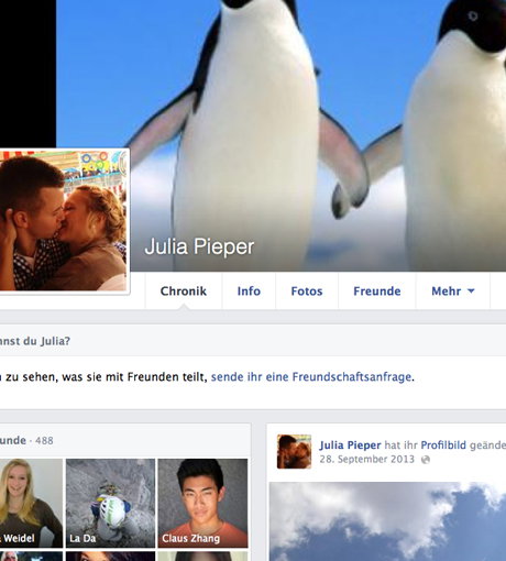 "Pinguinpower forever": Julia Piepers Facebook-Titelbild zeigt ein Pinguin-Paarbild
