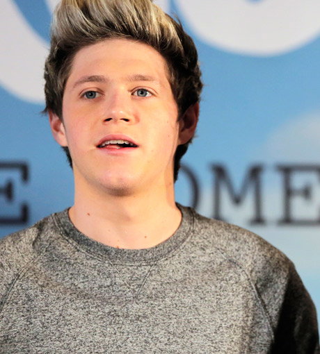 One-Direction-Star Niall Horan ist mit einem Schrecken davongekommen: Sein Auto krachte in die Leitplanke