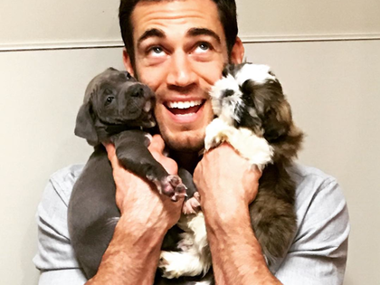 Dr. Evan Antin: Der wohl heißeste Tierarzt der Welt - Instagram-Hit: Dieser Doktor lässt Frauenherzen höherschlagen