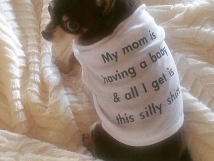 "Girls Club"-Star Lacey Chabert: Ihr Hund verkündet die Baby-News! - Die Schauspielerin ist zum ersten Mal schwanger 