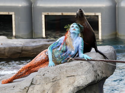 Bachelor-Zweite Daniela Buchholz als nackte Nixe - Für Bodypainting-Shooting zieht die Bachelor-Zweite blank