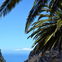 Die kanarischen Inseln - ein Promi-Hotspot seit Jahrzehnten - Welche Stars man auf Teneriffa, Lanzarote und Gran Canaria treffen kann 