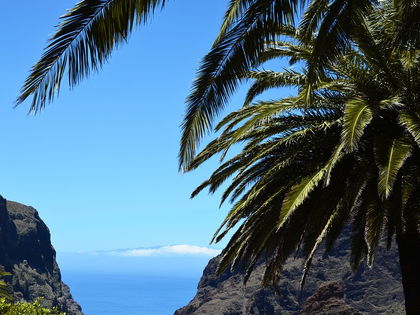 Die kanarischen Inseln - ein Promi-Hotspot seit Jahrzehnten - Welche Stars man auf Teneriffa, Lanzarote und Gran Canaria treffen kann 