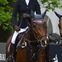 Schock! Luna Schweiger fällt vom Pferd - Beim "Deutschen Spring- und Dressur-Derby" in Hamburg stürzte die 20-Jährige