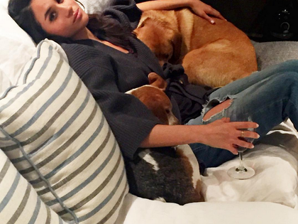 Meghan Markle: Für ihr neues Leben muss sie ihren Hund zurücklassen - Um Prinz Harry heiraten zu können, traf die Schauspielerin eine herzzerreißende Entscheidung