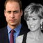 Prinz William: Traurige Details über Dianas Tod (†36)
