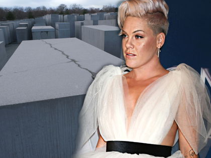 Pink: Skandal in Berlin - Die Sängerin tritt ins Fettnäpfchen und erntet Shitstorm