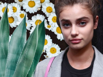 Akne: Die besten Naturprodukte gegen unreine Haut - Bye, bye Pickel, Mitesser und Co.!