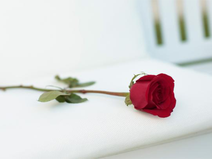 "Der Bachelor": Enthüllt! So hart sind die Produktionsbedingungen