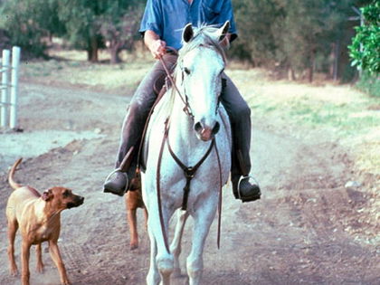 Patrick Swayze: Letzte Ruhe auf seiner Ranch - Seine Asche soll auf seiner Farm verstreut werden