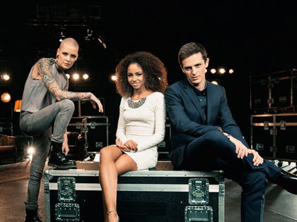 'The Voice of Germany' 2013 - Die besten Bilder!