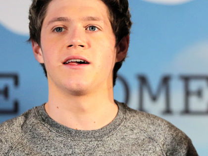 Schock! One Direction-Star Niall Horan in Unfall verwickelt - Auto kam von der Fahrbahn ab und krachte in die Leitplanke