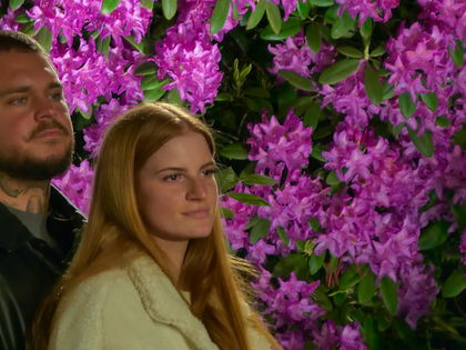 Schwangerschaftstest im "Sommerhaus" nur inszeniert? Fans erheben schwere Vorwürfe gegen Nico Legat und Laura