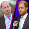 Streit um Dianas Erbe? Prinz William will Konkurrenzkampf mit Harry vermeiden
