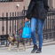 So süß! Dakota Johnson unterwegs mit ihrem Freund in New York - Der "Fifty Shades of Grey"-Star hat seine große Liebe gefunden